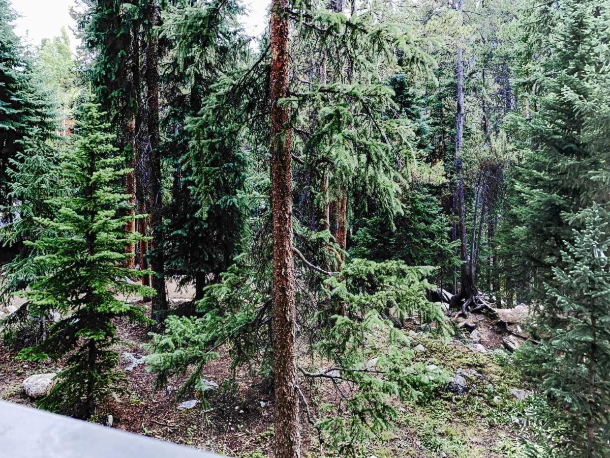 Powderhorn C202 Condo Брекънридж Екстериор снимка